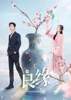 天定良元双男主电视剧在线观看